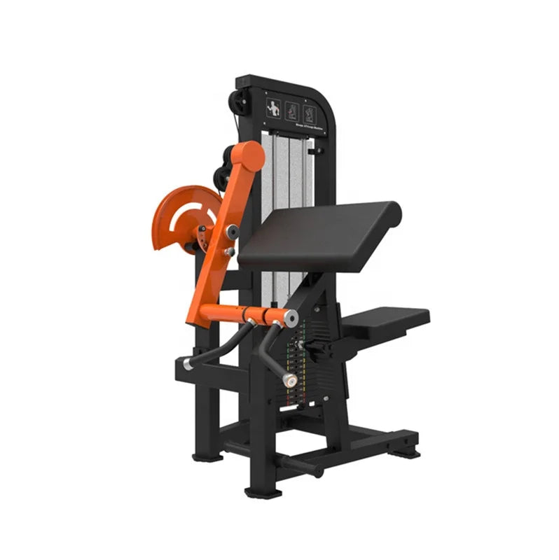 Pin Loaded Bicep Tricep Curl Machine Muscle Exercise Gym Fitness Equipment Biceps Triceps Machine for Bodybuilding